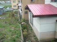  dscf0484.jpg 