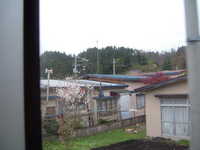  dscf0485.jpg 