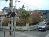  dscf0500.jpg 