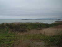  dscf0503.jpg 