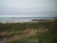  dscf0504.jpg 