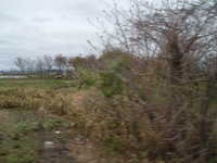  dscf0505.jpg 