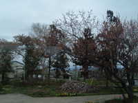  dscf0506.jpg 