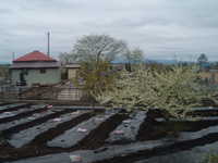  dscf0507.jpg 
