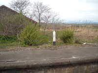  dscf0508.jpg 