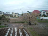  dscf0513.jpg 