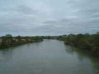  dscf0515.jpg 