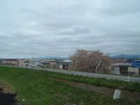  dscf0517.jpg 