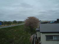  dscf0518.jpg 