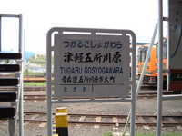  dscf0537.jpg 