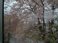  dscf0539.jpg 