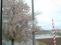  dscf0541.jpg 