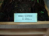  dscf0569.jpg 