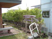  dscf0580.jpg 