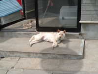  dscf0584.jpg 