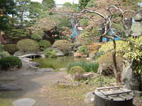  dscf0646.jpg 