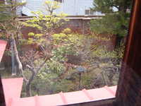  dscf0686.jpg 