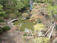  dscf0716.jpg 
