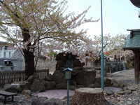  dscf0794.jpg 