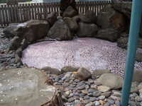  dscf0795.jpg 