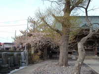  dscf0799.jpg 
