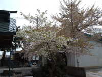  dscf0800.jpg 