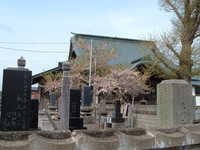  dscf0803.jpg 