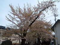  dscf0804.jpg 
