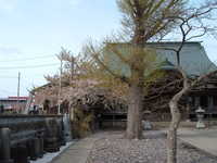  dscf0806.jpg 
