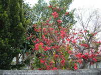  dscf0807.jpg 
