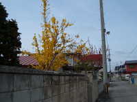  dscf0808.jpg 