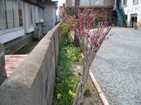  dscf0810.jpg 