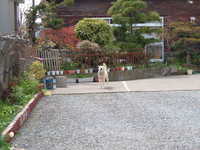  dscf0811.jpg 