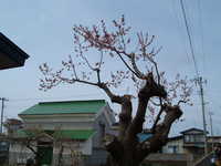  dscf0813.jpg 