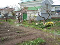 dscf0814.jpg 