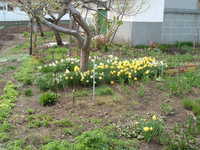  dscf0815.jpg 