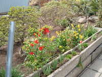  dscf0816.jpg 
