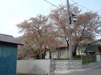  dscf0821.jpg 