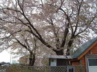  dscf0822.jpg 