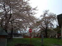  dscf0823.jpg 