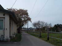  dscf0824.jpg 