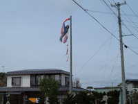  dscf0826.jpg 