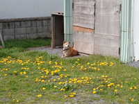  dscf0827.jpg 