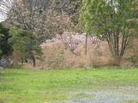  dscf0828.jpg 