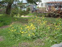  dscf0829.jpg 
