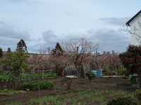  dscf0830.jpg 