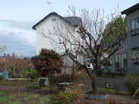 dscf0831.jpg 