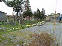  dscf0833.jpg 