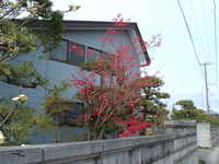 dscf0834.jpg 