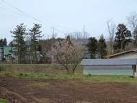  dscf0835.jpg 
